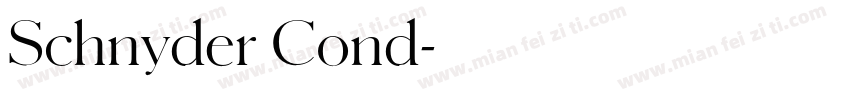 Schnyder Cond字体转换